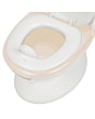 3106209250_2025_bebeconfort_potty_minisizetoilet_fox_sand_deflector_front